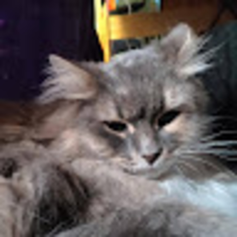 Meet your Posher, Haven